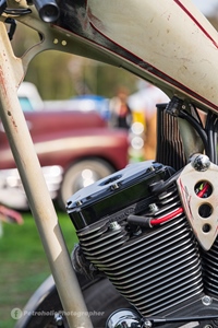 Woodgetting Zonhoven -  19 september 2026