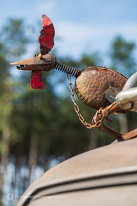 Woodgetting Zonhoven -  19 september 2026