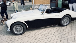 Cars & Coffee Oostende -  30 augustus 2026