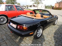Passion and Cars Opwijk -  26 september 2026