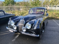 Cars & Coffee Antwerpen -  11 oktober 2026