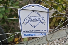Sluitings-Sneukelrit oldtimerclub "Oude Gloriën" tractoren en d'Antieke Velokes -  11 oktober 2026