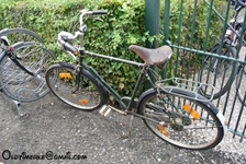 Sluitings-Sneukelrit oldtimerclub "Oude Gloriën" tractoren en d'Antieke Velokes -  11 oktober 2026