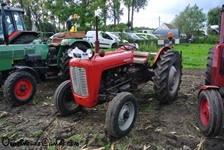 Sluitings-Sneukelrit oldtimerclub "Oude Gloriën" tractoren en d'Antieke Velokes -  11 oktober 2026
