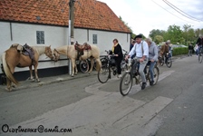 Sluitings-Sneukelrit oldtimerclub "Oude Gloriën" tractoren en d'Antieke Velokes -  11 oktober 2026