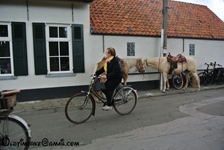 Sluitings-Sneukelrit oldtimerclub "Oude Gloriën" tractoren en d'Antieke Velokes -  11 oktober 2026