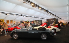 Zoute Grand Prix -  9 oktober 2026