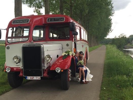 Oldtimer te huur: Singledeck bus