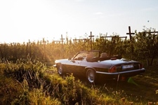 Jaguar XJS V12 Cabrio (cabrio)