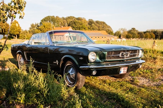 Oldtimer te huur: Ford Mustang v8