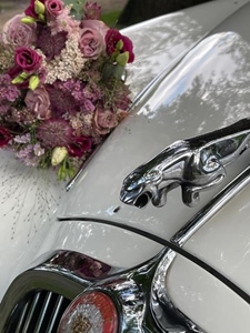 Jaguar 1966 S-type Old English White