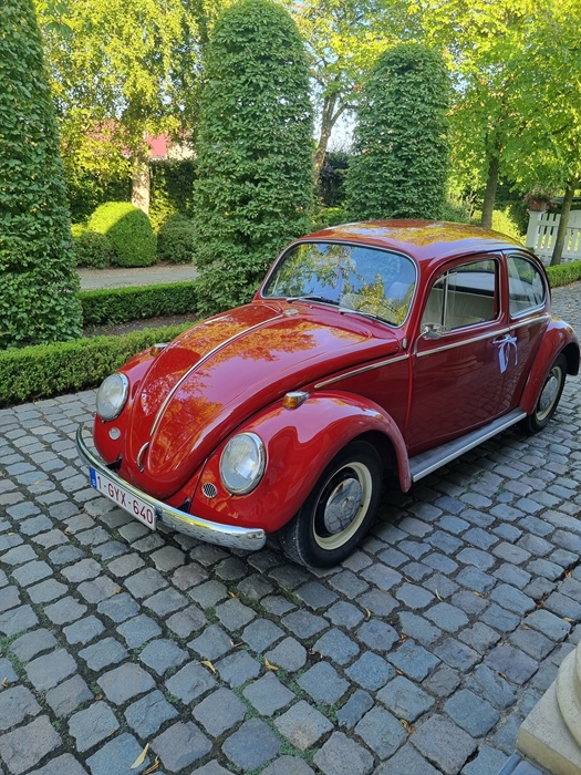 1966 Volkswagen Kever oldtimer te huur